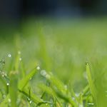 お布団干してダニ退治！？お家に潜む小さな虫とは…