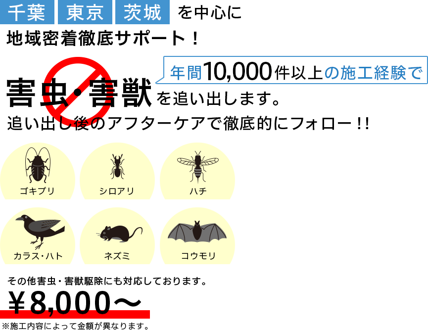 千葉・東京・茨城を中心に害虫や害獣、害鳥の駆除を行なっています。