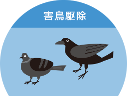 害鳥駆除