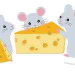 ネズミの好物はチーズではない！？好きなエサで駆除する方法