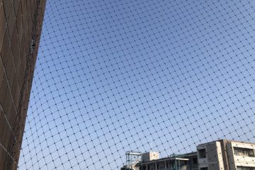 千葉県八千代市のTビルのハト駆除