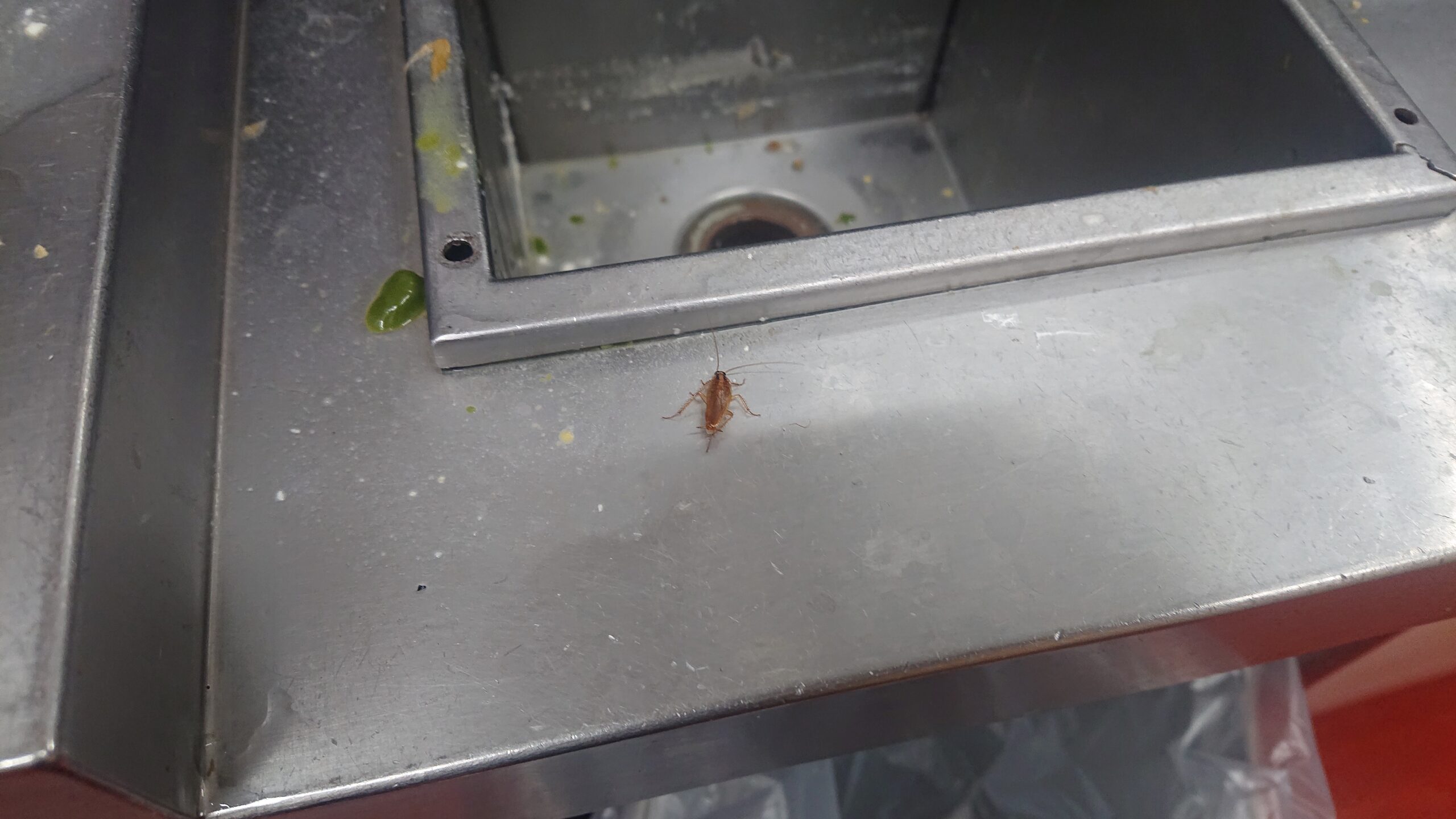 千葉県船橋市の飲食店S様のゴキブリ駆除：施工前