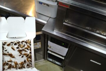 東京都足立区の飲食店様のゴキブリ駆除