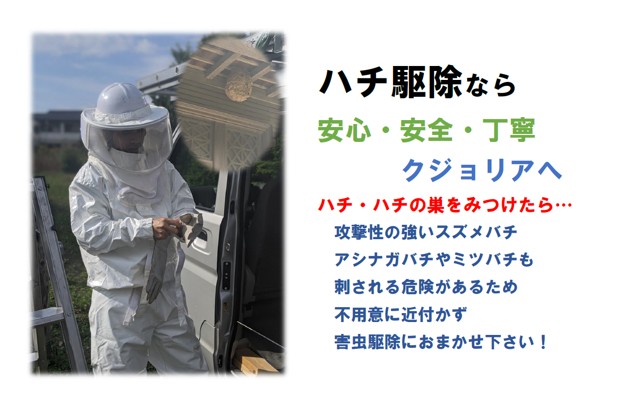 千葉・東京・茨城の蜂（ハチ）駆除なら害虫駆除のクジョリアへお任せください。