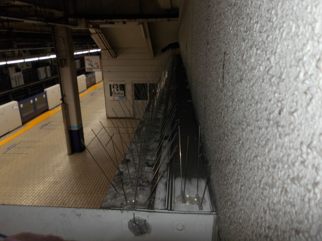 東京都内の駅構内店舗のハト駆除：施工後