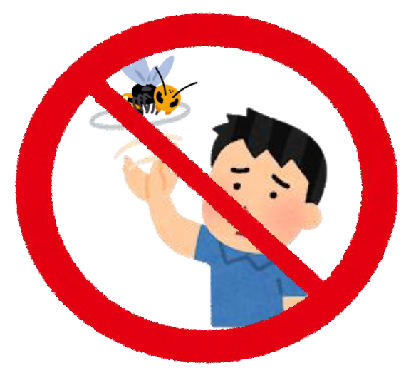 蜂が近づいても手や物で振り払うことも逆にハチを刺激して危険です