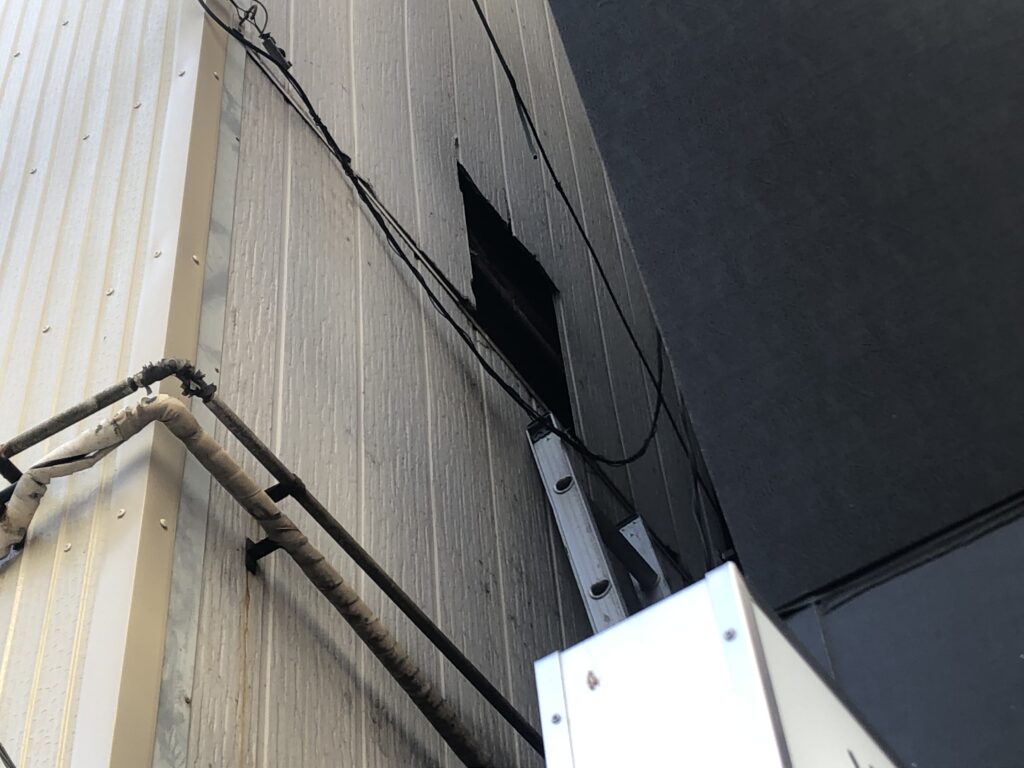 千葉市内のビルの壁にある隙間に鳩が侵入しわずかな隙間を巣にしていた。ビルとビルの間の日陰になる場所は鳩が棲みつきやすい傾向がみられる