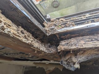 シロアリによって窓際の木部がボロボロになる被害事例